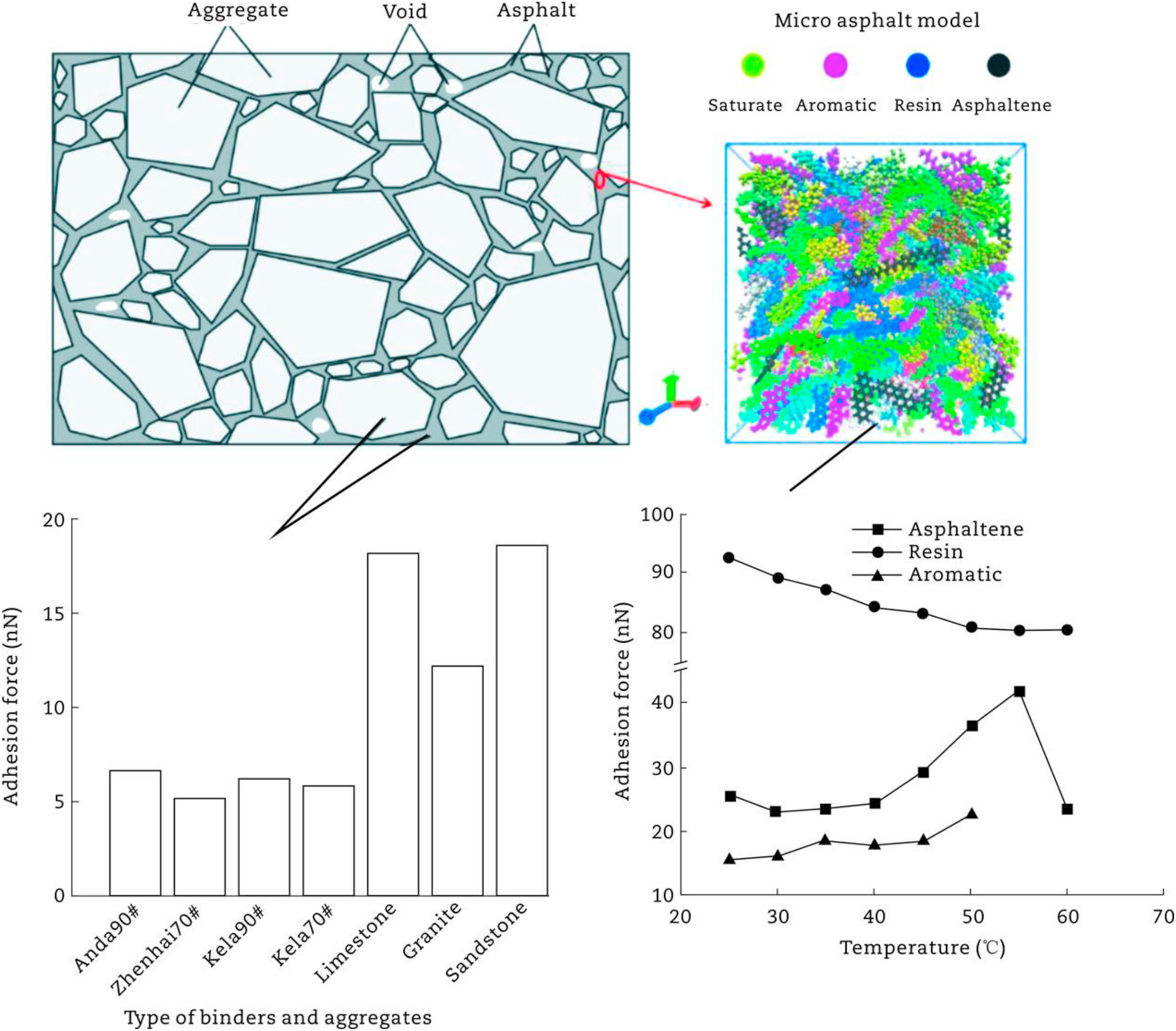 multi-phase inclusion structure and adhesion characteristics of